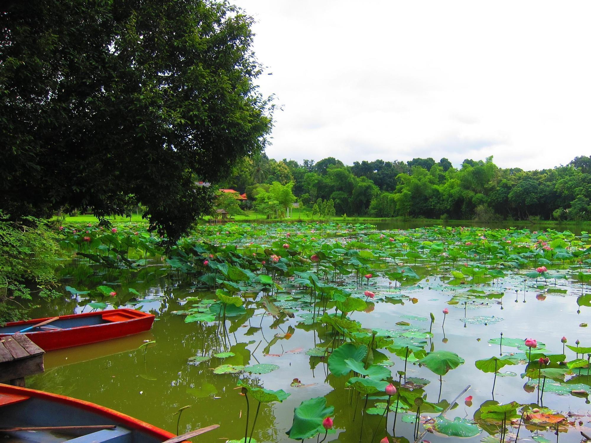 Mae Rim Lagoon Bed & Bakery Εξωτερικό φωτογραφία